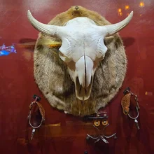 Mounted animal skull with long curved horns on a fur-covered plaque, flanked by two pairs of decorative spurs on a red wall